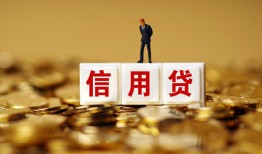 深圳坪山区哪里可以民间借贷-深圳坪山区私人借钱当天拿钱-深圳坪山区贷款联系电话