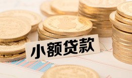 深圳坪山区哪里有小额贷款-深圳坪山区身份证贷款平台-深圳坪山区民间短借