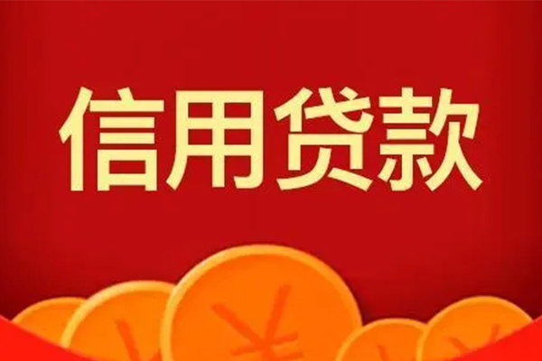 深圳坪山区民间短期私借借款